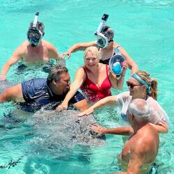 ein Rochen zum anfassen