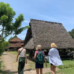 Ältestes Dorf Balis: Desa Tenganan Pegringsingan