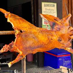 Platte Sau. Sah lecker aus. Wie überfahrenes Spanferkel