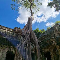 tomb raider Filmkulisse/ tomb raider fi̇lm seti̇