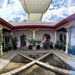 The patio of a museum dedicated to Francisco Toledo