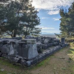 Isolated ruins amongst the trees