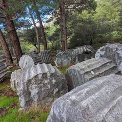 A giant jigsaw puzzle in the forest