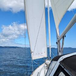 Sails up!