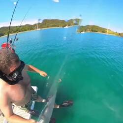 Braving the shark infested water