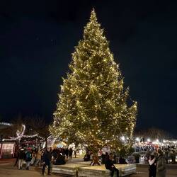 Weinachtsmarkt in Amsterdam