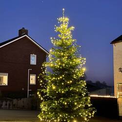 Weinachtsbaum von den Nachbarn