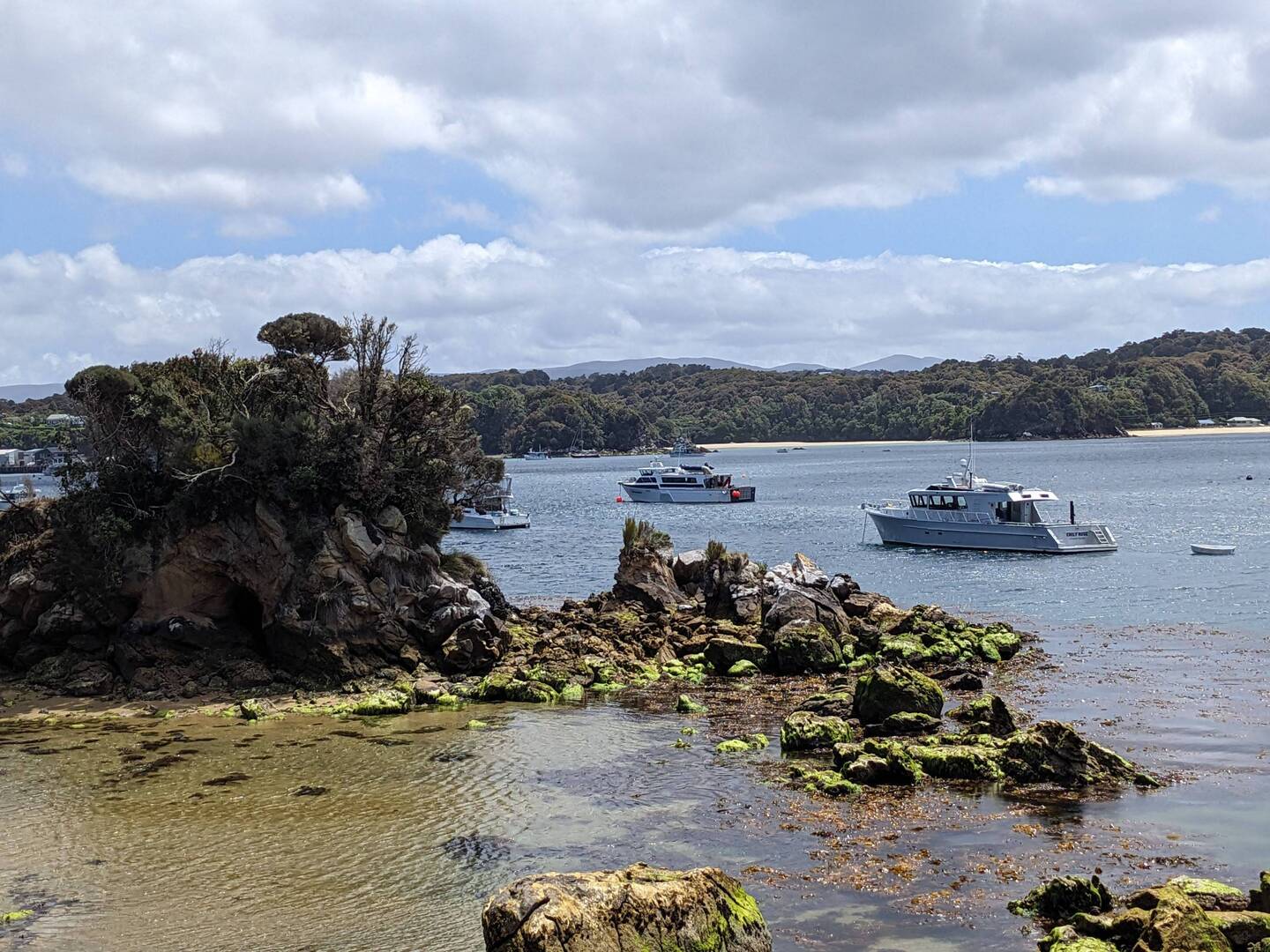 Harbour Stewart Island