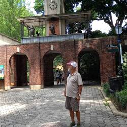 Un giorno di sole a NY ???