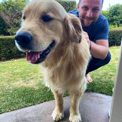 Wir sind auf den Hund gekommen...