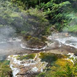 Steam can be seen just eminating from the ground as well as from the hot spring water.