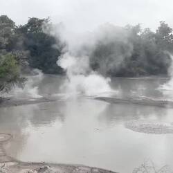Eruptions in the mud pools.