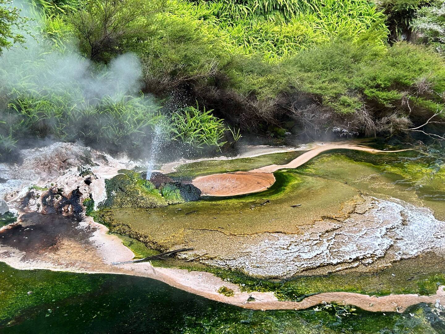 Geyser, rainbow springs and terraces.
