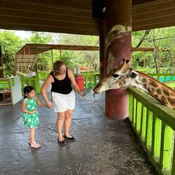 Ani vertraut der Giraffe (immerhin ihr zweitliebstes Tier) nicht so richtig