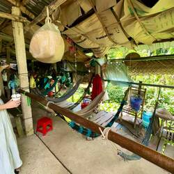 Die Hängematten funktionieren als Aufenthaltsraum für die Angestellten