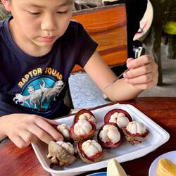 Khang zieht Mangostane den angebotenen Früchten vor - die sind aber auch gut