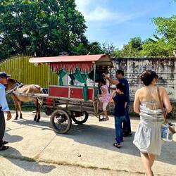 Mit der Kutsche gehts weiter zur nächsten Station