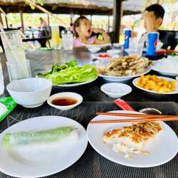 Wir rollen unsere eigenen Sommerollen mit frischem Fisch