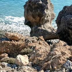 Schaut da der GREIF ins Meer?