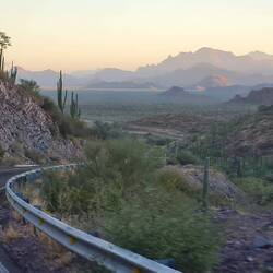 Ohne Bienen, auf dem Weg zum Übernachtungsplatz