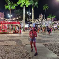 Palmen auf dem Weihnachtsmarkt?!