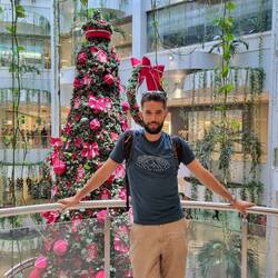 Leo in Weihnachtsstimmung