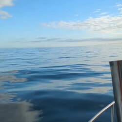 Not much luck, but fun all the same!