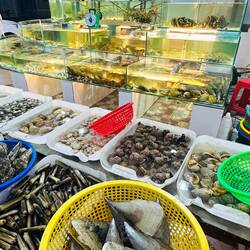 Die Auswahl ist groß