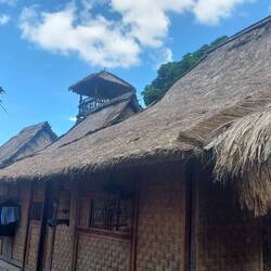 Gras roofs in the oldest village of Lombok