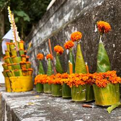 offerings