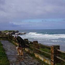 Bei der Landschaft biste baff