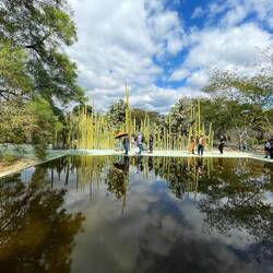 Another view of the botanical garden in Oaxaca