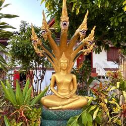 was in Kamboscha noch Schlangen, sind hier Drachen