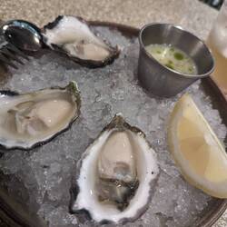 Fresh Oysters