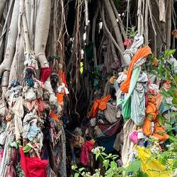 Ein Wunschbaum. Man hinterlässt eine Kleinigkeit am Baum, zusammen mit seinem Wunsch