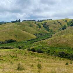 Mangawhei Heads Cliff Walk