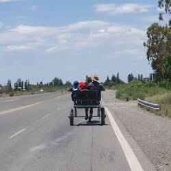 We had just talked about Horsecarts in the morning. Coincidence or destiny?