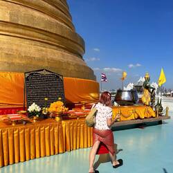 but please cover knees and shoulders 🤣