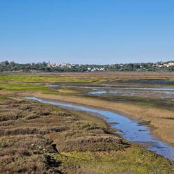 Waddengebied bij Faro