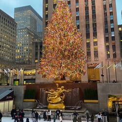 Rockefeller Center Christmas Tree