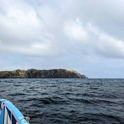Approaching Stevie's