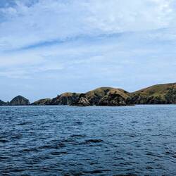 Approaching Stevie's