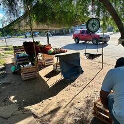 Strassenverkäufer Früchte/Gemüse