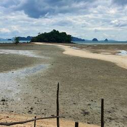 Bei Ebbe am Krabbenstrand