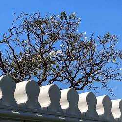 we move on to the royal palace