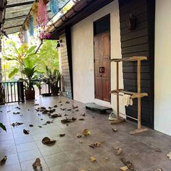 出门一趟一地落叶🍂😂