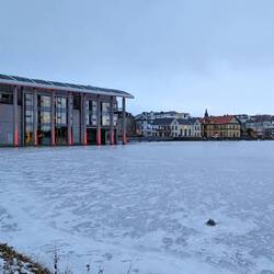 Tjörnin with the city hall in the distance.