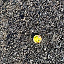 An omen! 😍 Also saw eagles and butterflies guiding the way