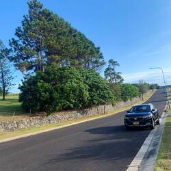 Our good friend: the car!