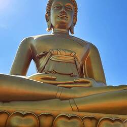 view from outside bottom